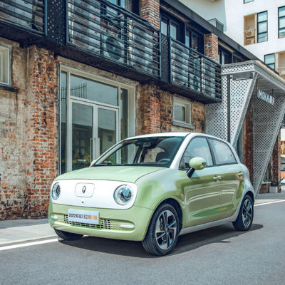 Batería LFP de los asientos de las puertas 4 de Cat Electric Vehicle 5 del negro de los 301KM-405KM Gw ORA