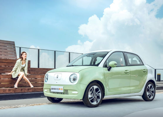 Batería LFP de los asientos de las puertas 4 de Cat Electric Vehicle 5 del negro de los 301KM-405KM Gw ORA