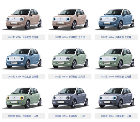 Batería LFP de los asientos de las puertas 4 de Cat Electric Vehicle 5 del negro de los 301KM-405KM Gw ORA