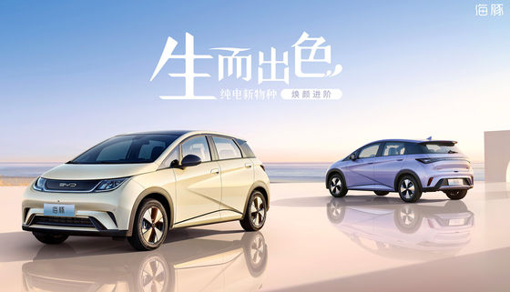 Mini Byd Dolphin Ev eléctrico puro los 301-405KM 5 puertas 5 asientos